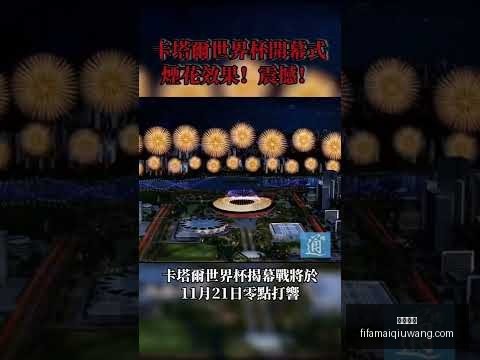 阿根廷总统,赠马斯克金,马斯克叹,博鱼电竞,博鱼电竞平台,博鱼电竞App,博鱼电竞下载